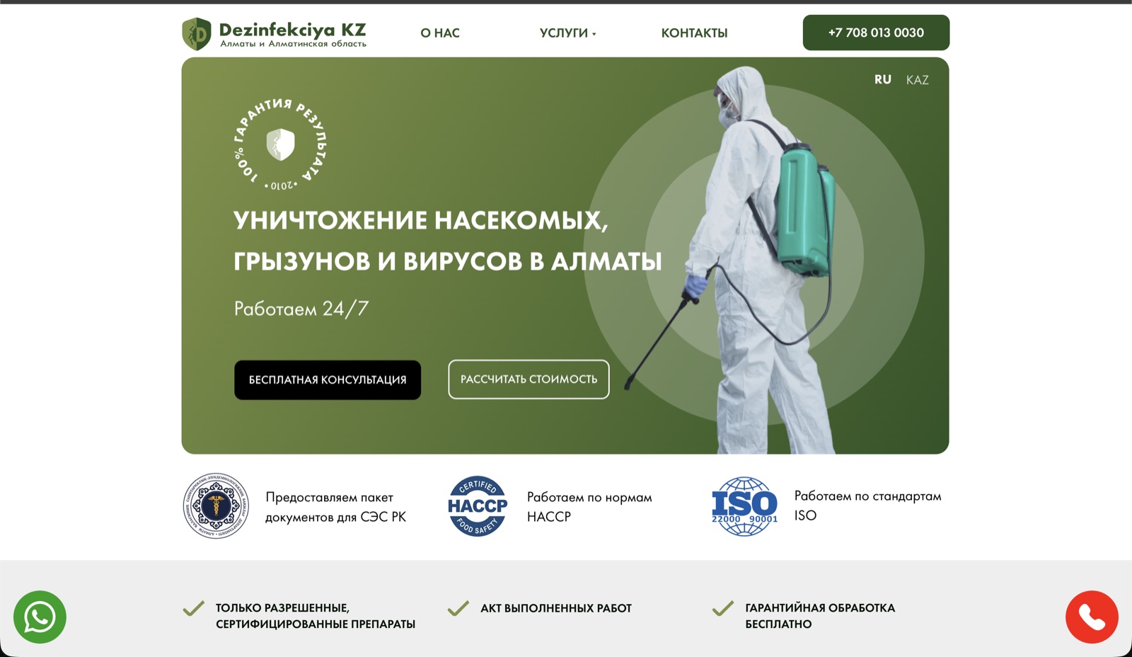 Сайт проекта SEO и реклама в Google для службы дезинфекции